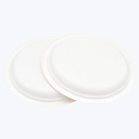 Plato de 17.78 cm (7")