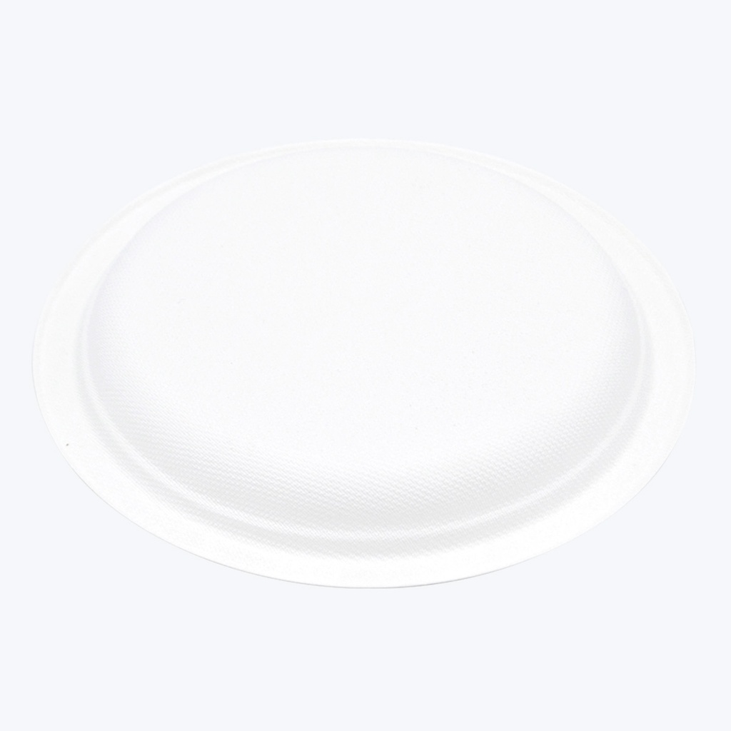 Plato de 17.78 cm (7")