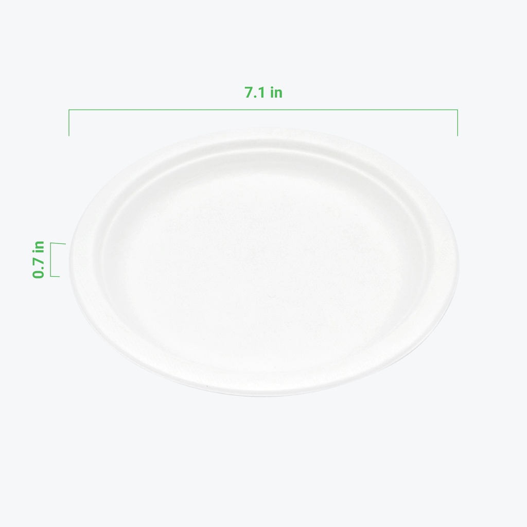 Plato de 17.78 cm (7")