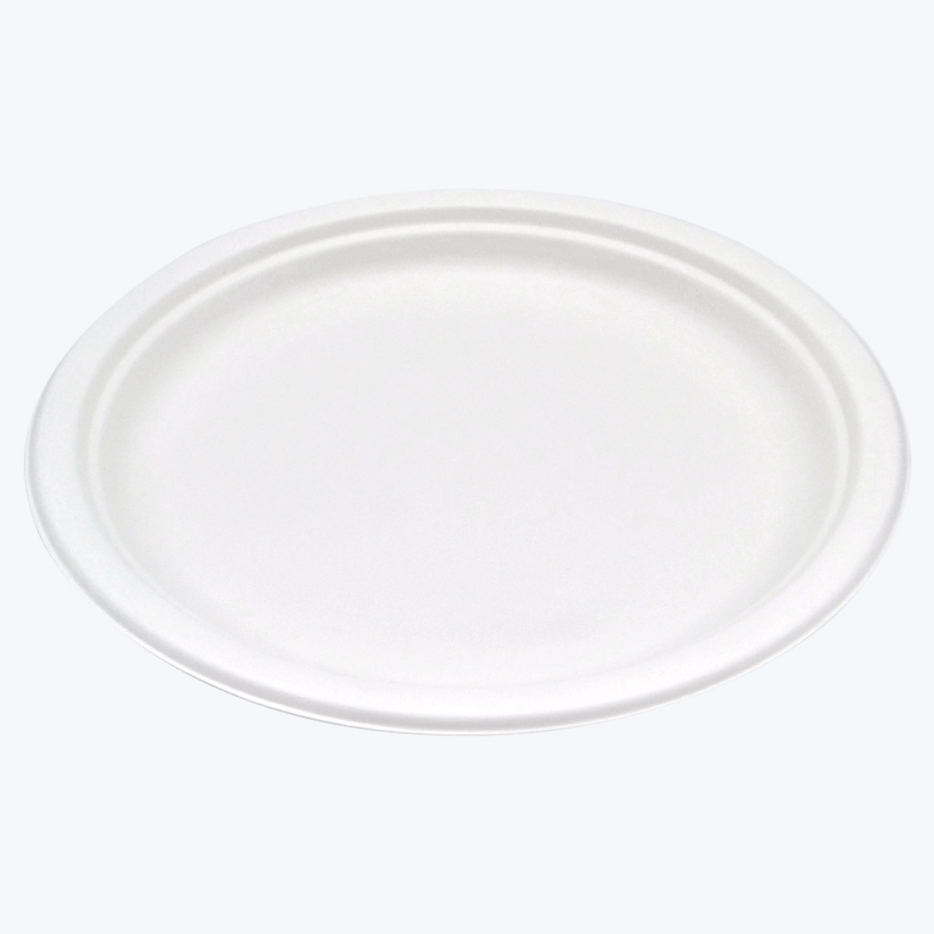 Plato de 25.4 cm (10") | Case